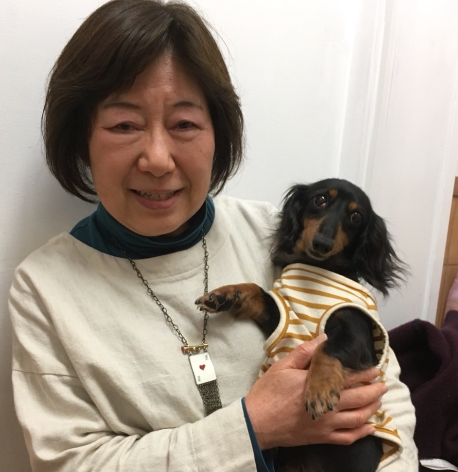 【運命の赤い糸見～つけた💓Mダックスのレモン💕、シーズーのしーちゃん💕、チワワのダンデ💕】